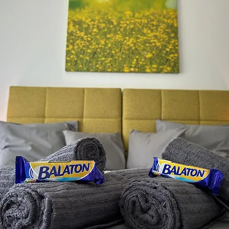 Apartament Dingi 105 *