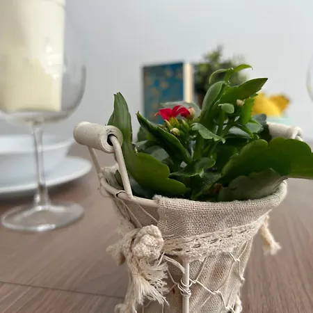 Dingi 105 * Siófok
