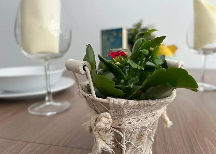 Dingi 105 * 希欧福克